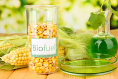 Over Norton biofuel availability